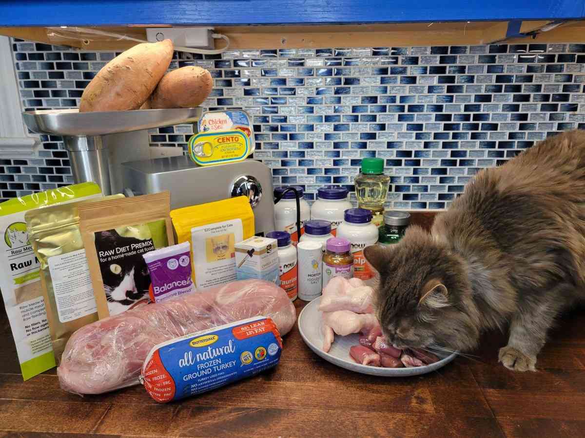 집에서 만드는 고양이 사료 레시피
(jibeoseo mandeuneun goyangi saryo repisi)

Translation: Cat food you can make at home recipe
