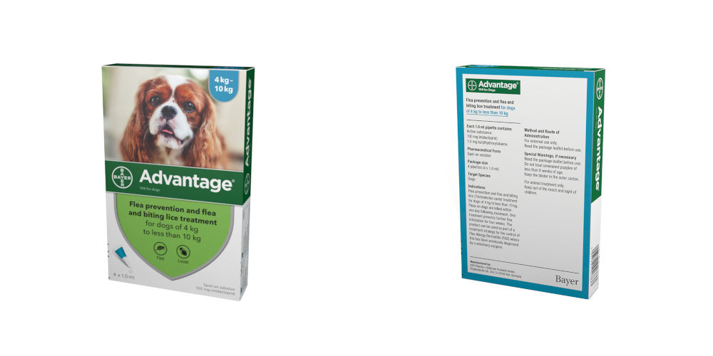 치료견 백선 치료 및 예방 관리
(Treatment dogs ringworm treatment and prevention management)