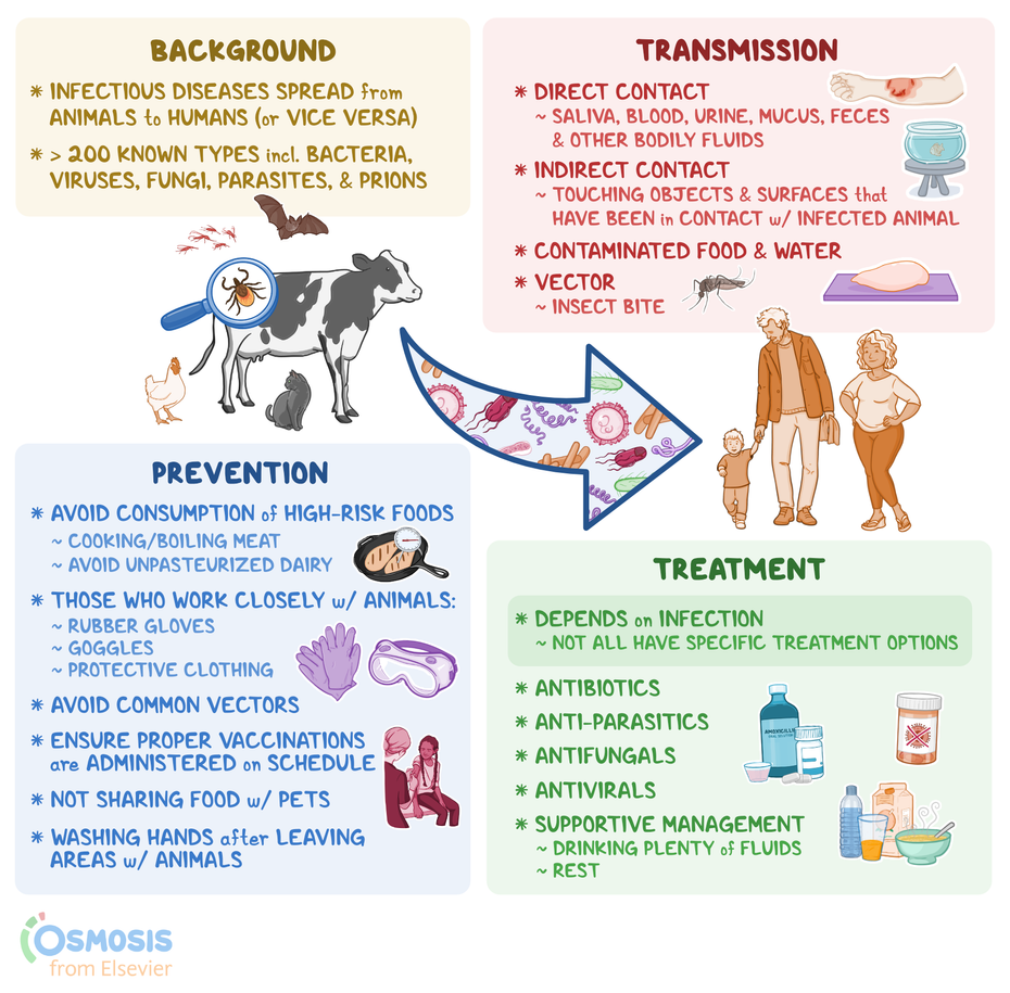 동물성 단백질 알레르기 증상과 관리
(Animal protein allergy symptoms and management)