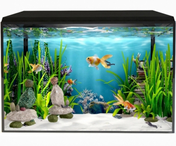 어항 물고기 3D 모델 다운로드
(aquarium fish 3d model download)