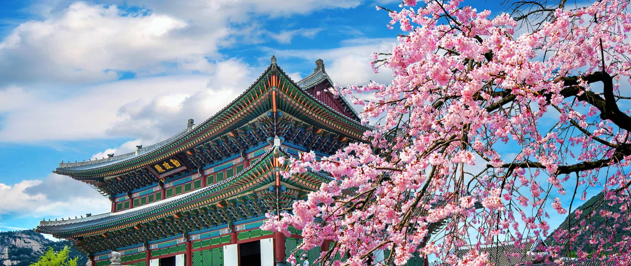 한국 여행 가이드: 최고의 여행 팁 (Travel Korea Guide: Best Travel Tips)