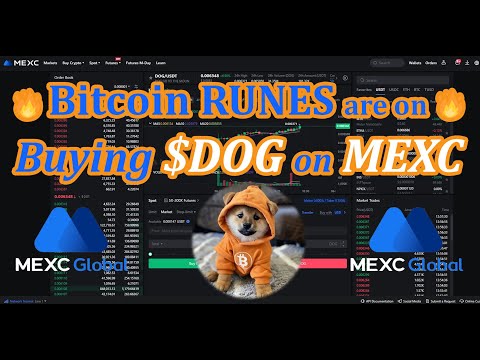 MEXC 개 투자 가이드