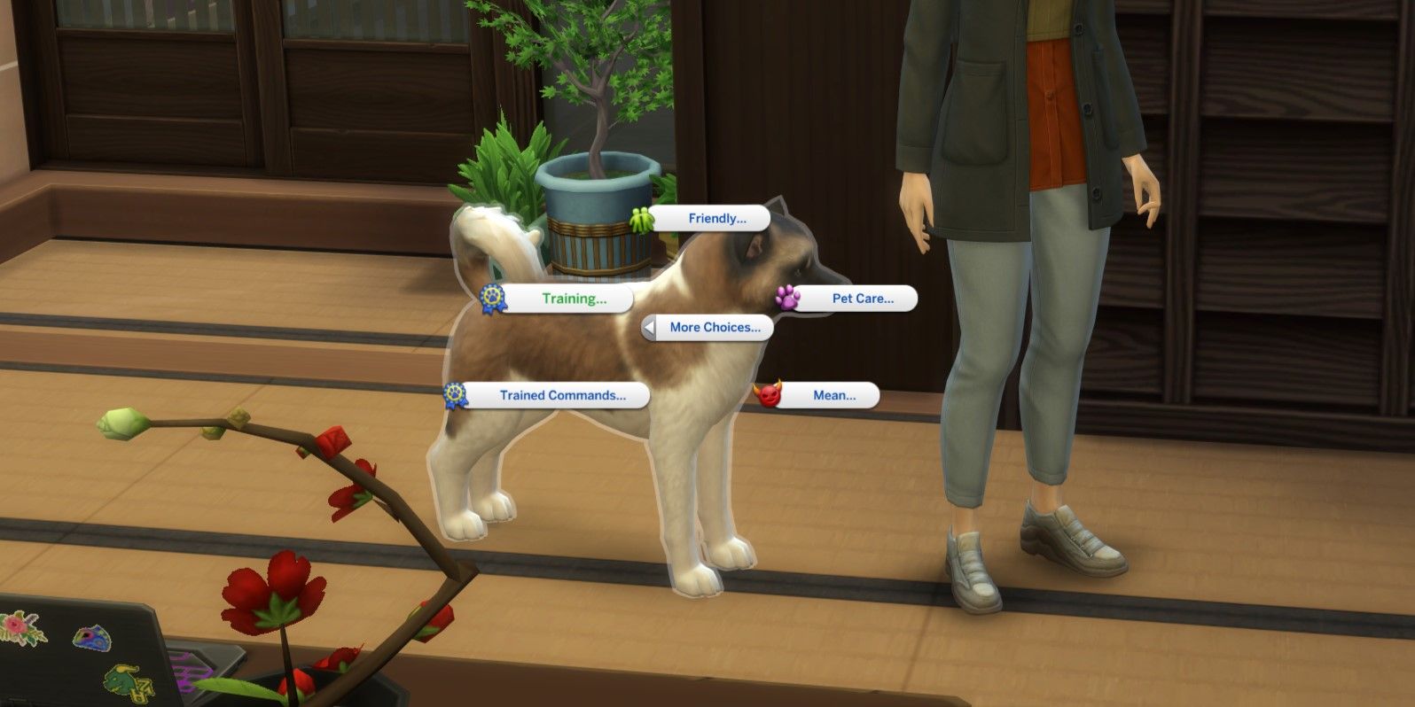 Sims 4 강아지 훈련법 (How to train a puppy Sims 4)