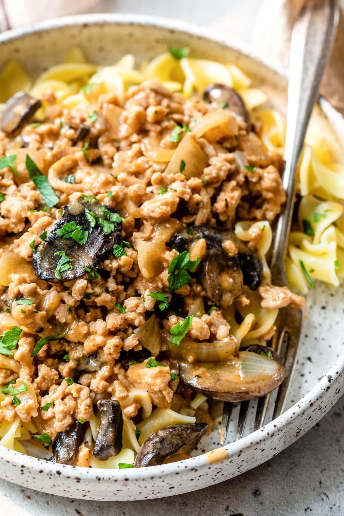 Chicken Stroganof (가족) – 스키니 테스트