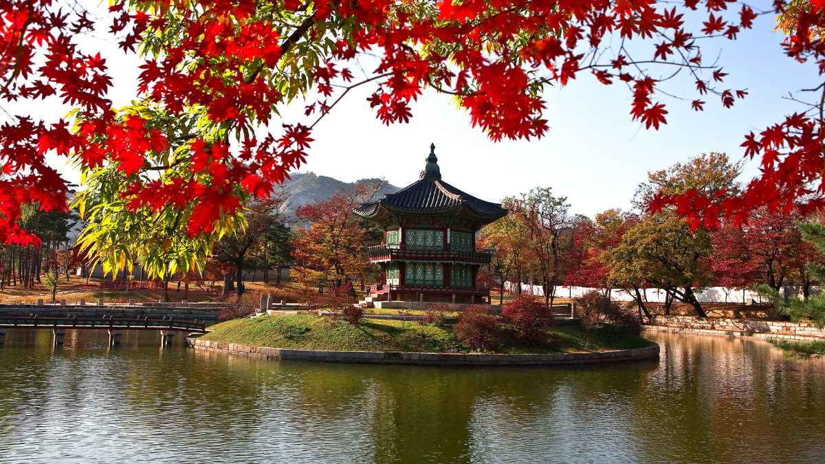 서울 여행사 추천: 최고의 서울 여행 계획 (Seoul travel agency recommendation: Best Seoul travel plan)