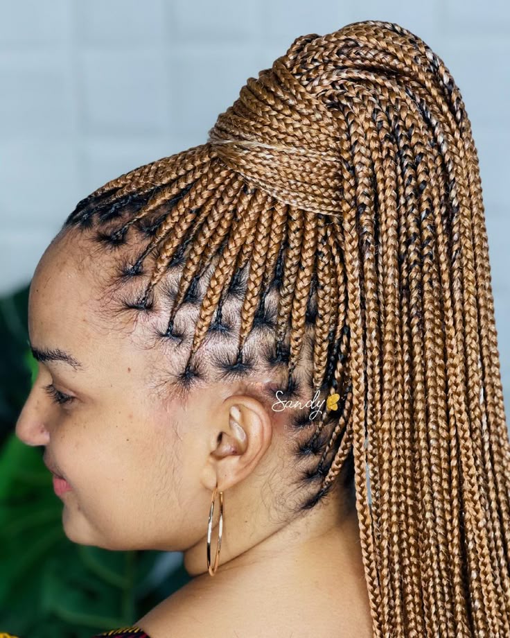 헤어스타일 땋기 노트리스 브레이드
(Hair styles knotless braids)