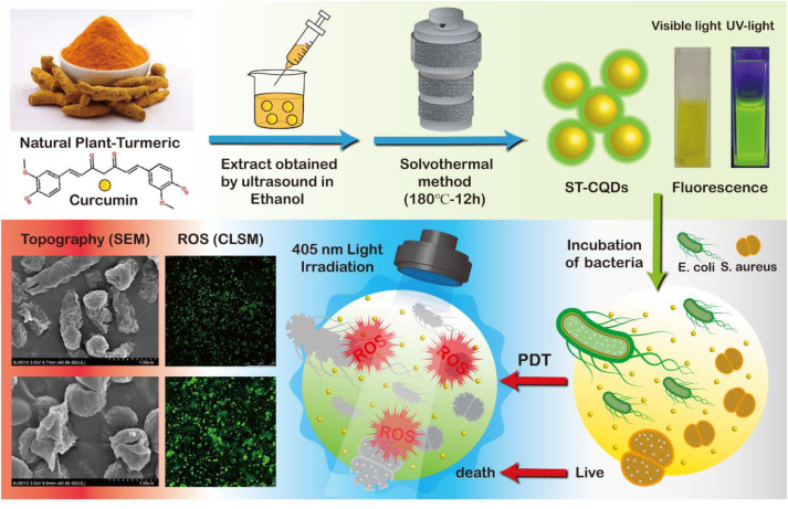 식물로 구동되는 양자점은 미생물 및 독성 염료와 싸웁니다.